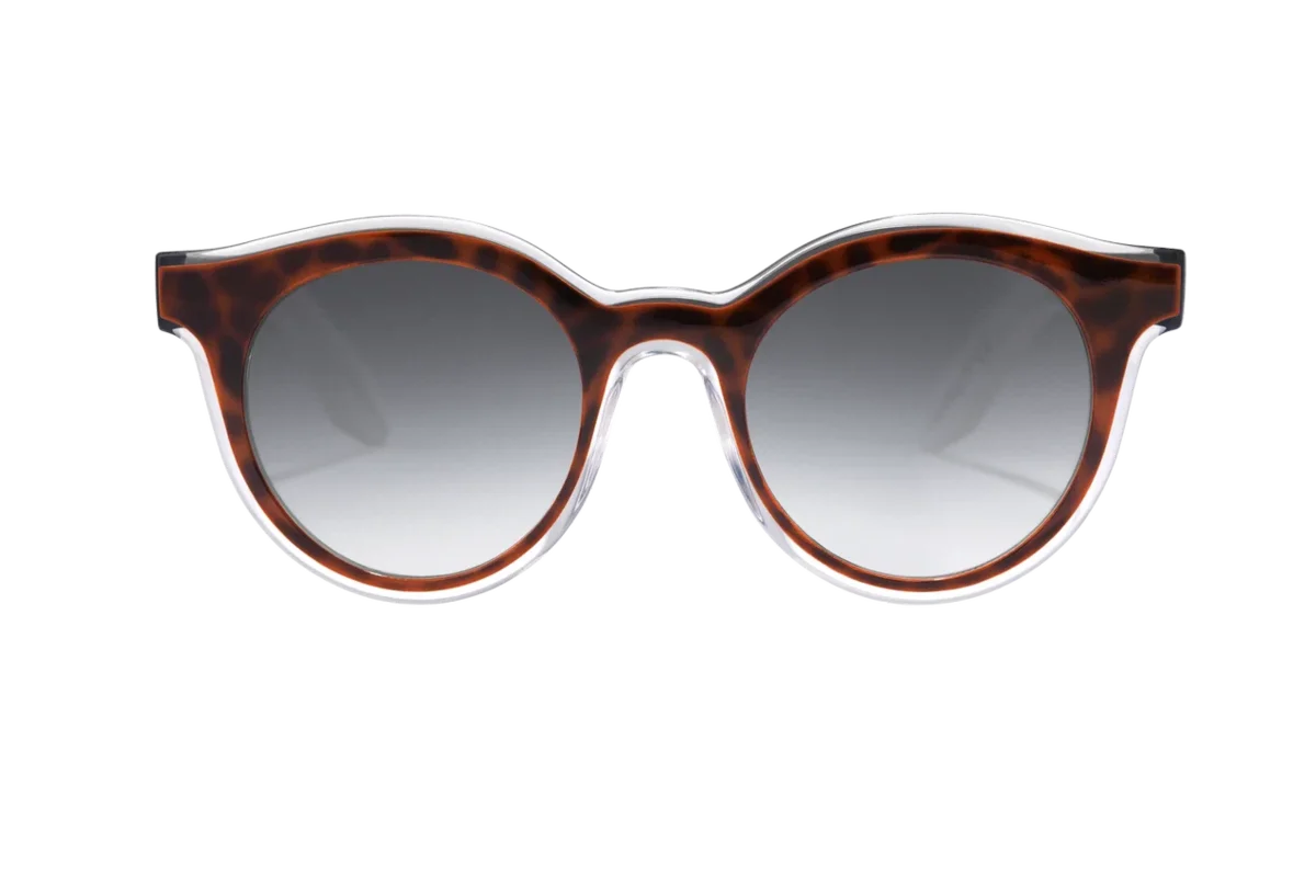Gero'nun Gözleri