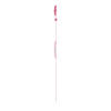 Parlak Pembe